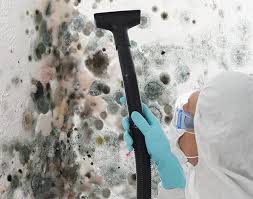 Best Mold Prevention Services  in Atwood, KS